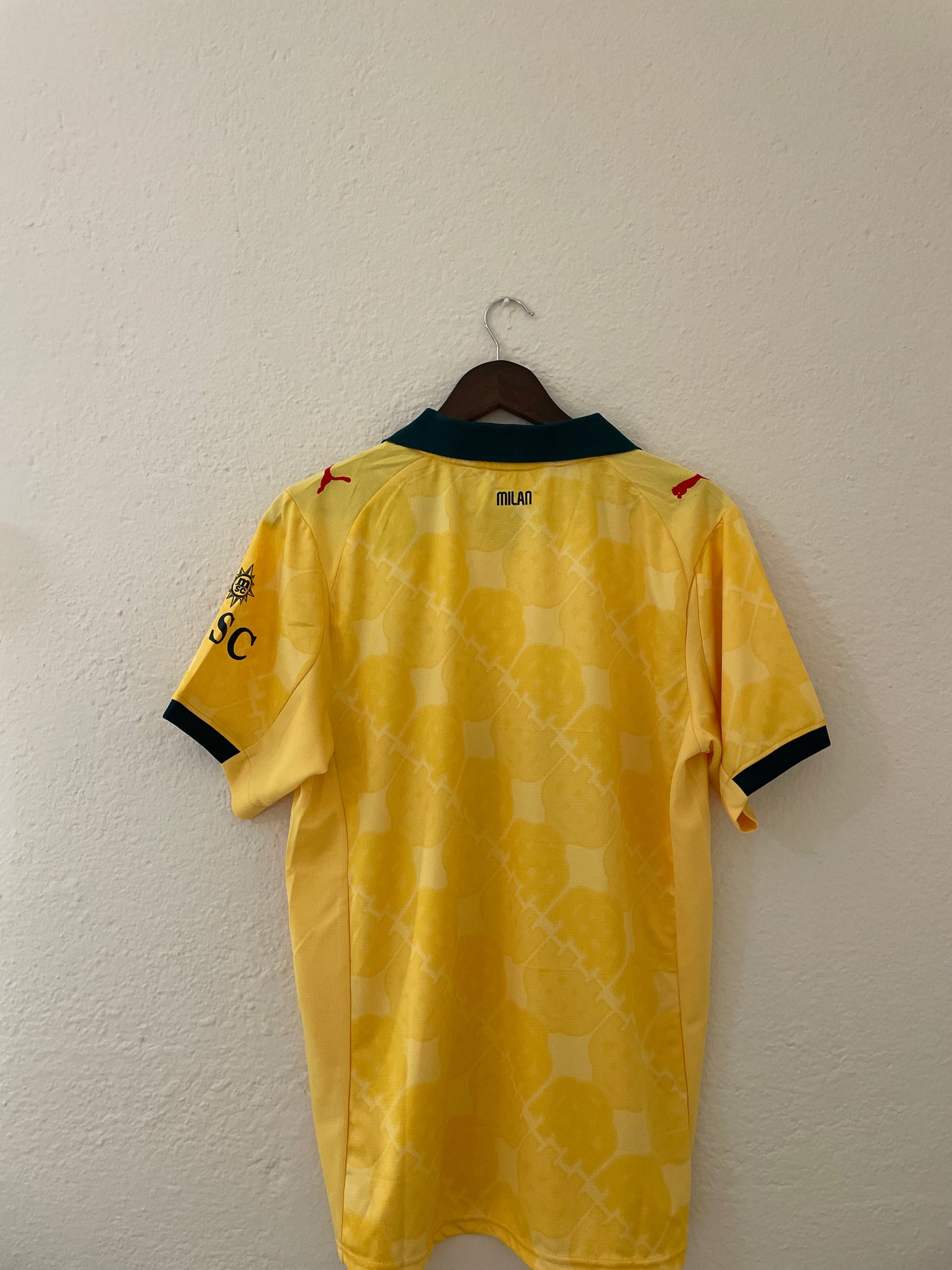 2025-26 ML Third Fan