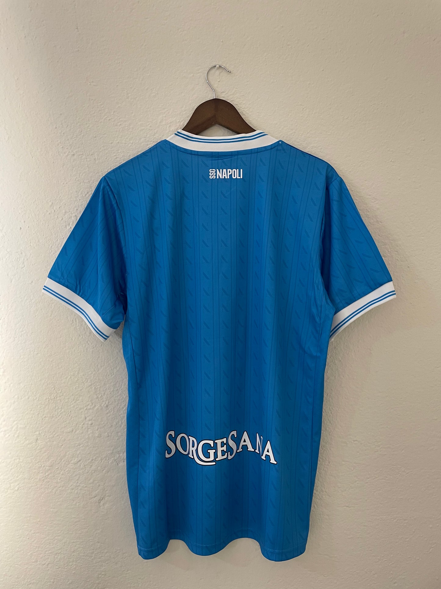 2025-26 NPL Home Fan